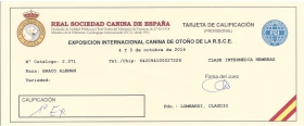 EXC 1ª Clase Intermedia Hembras, Exposición Internacional Canina de Otoño, Talavera de la Reina, Octubre 2014