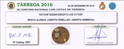 IX Concurso Nacional Canino De Tárrega 25 Septiembre 2016, Octavia EXC 1ª - MR